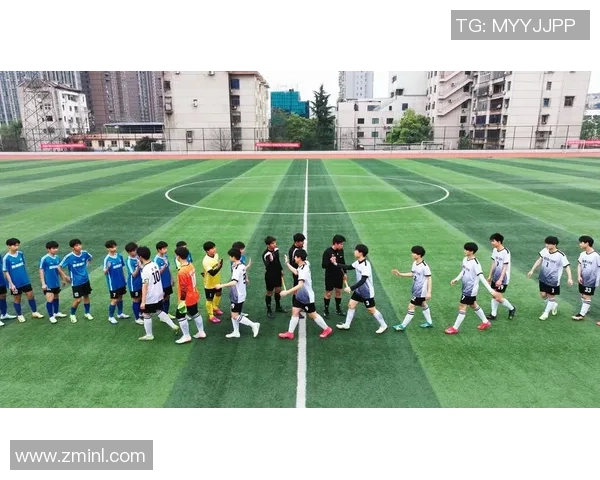 青春绿茵场上的她们多女主足球明星的梦想与成长之路