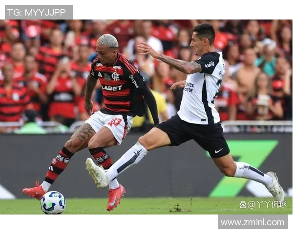 博塔弗戈与弗球队对决精彩纷呈谁能在赛场上笑到最后