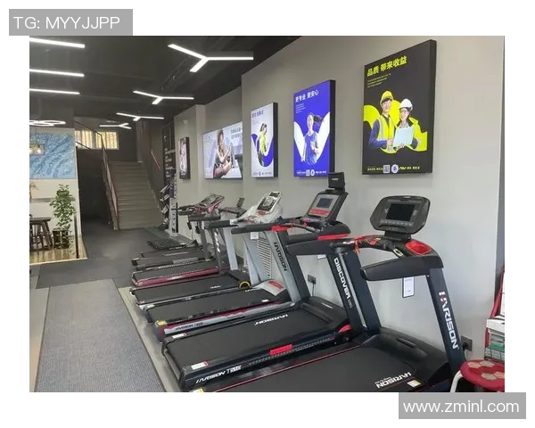 体育健身器材购买指南推荐适合你的健身器材商店和在线平台